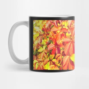 Bright red organge Virginia creeper leaves in autumn Mug